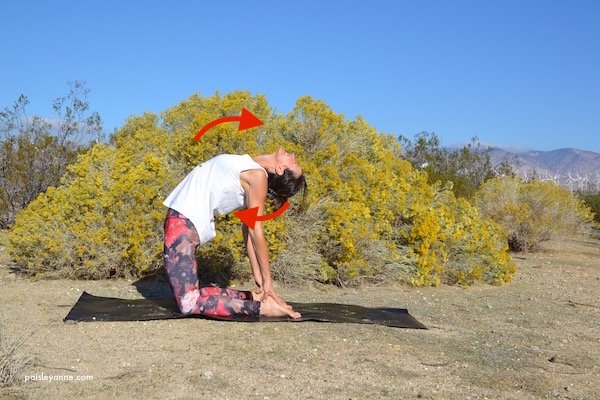 ustrasana